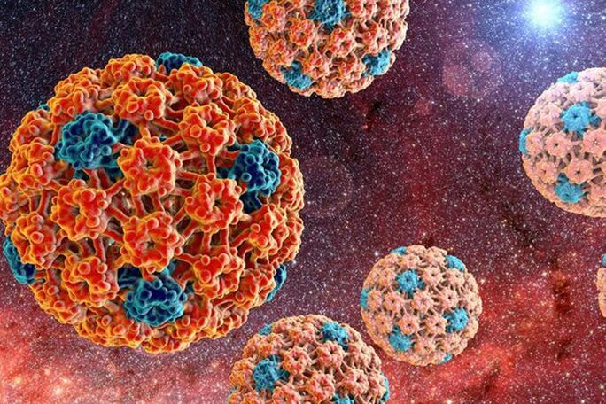 how the human papillomavirus spreads